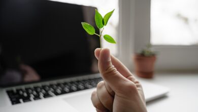 hand with green plant on the laptop background e 2022 11 08 10 36 55 utc scaled
