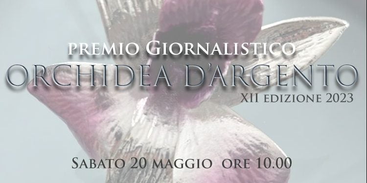 orchidea dargento