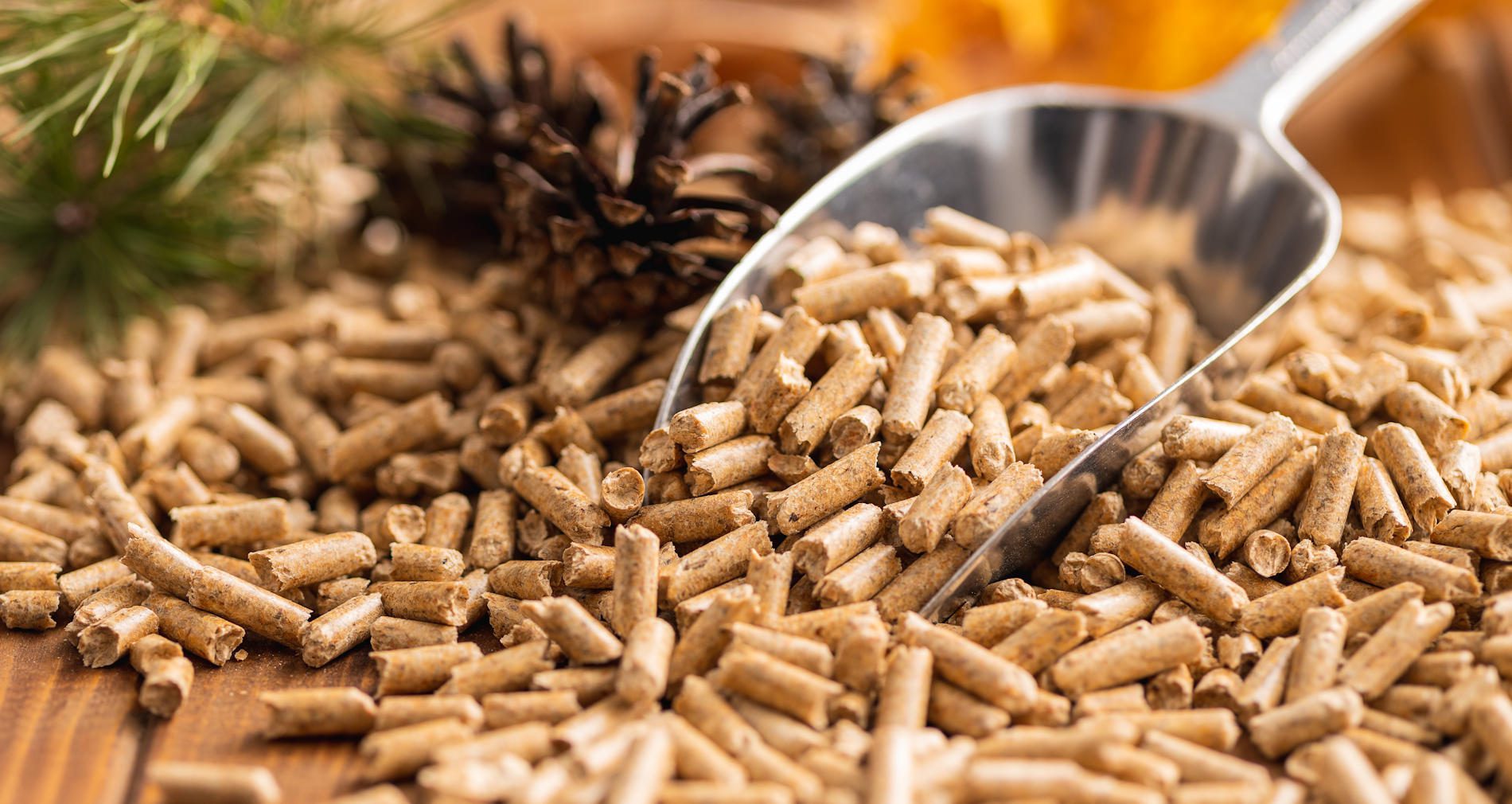 pellets