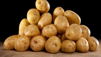 potatoes 2022 11 14 03 06 00 utc scaled