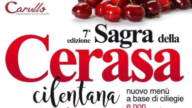 sagra della cerasa