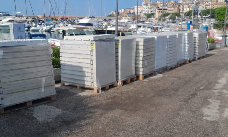 347405470 6401020299988959 1860091542744065951 n