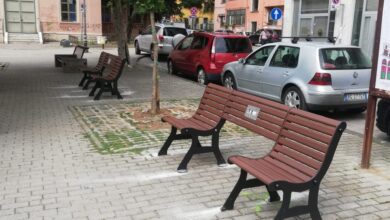 354061540 798229051920429 5782318781955371069 n