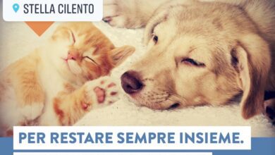 354593281 579964377658047 5726010929668464185 n