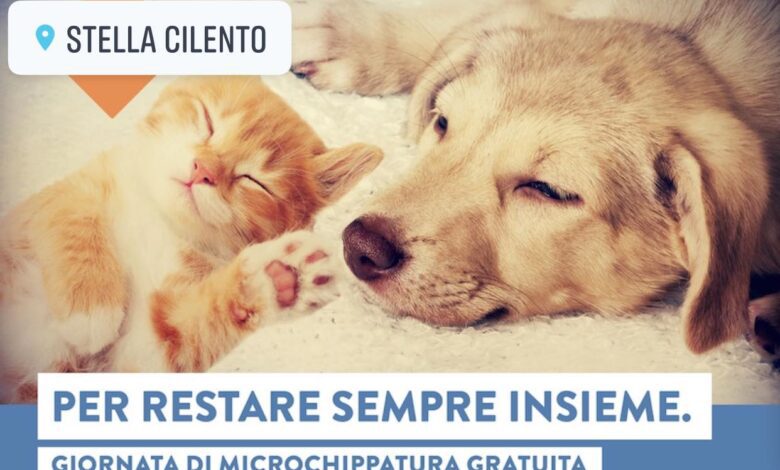 354593281 579964377658047 5726010929668464185 n