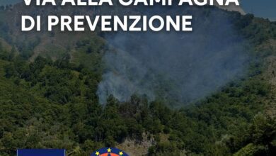 355001887 651945800293884 112391767178078054 n