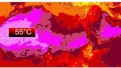 A32B6BD9 4304 40F9 8DD5 1182A8C967FF