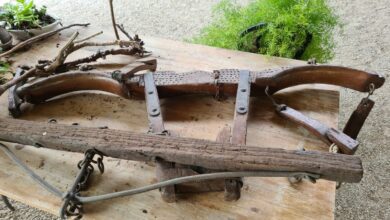 WhatsApp Image 2023 06 17 at 153403