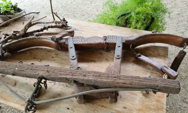 WhatsApp Image 2023 06 17 at 153403