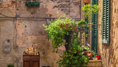 balcone fiorito perito 2023