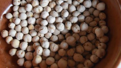 ceci di cicerale da corbella