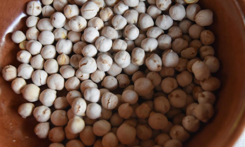 ceci di cicerale da corbella