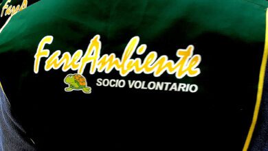 fareambiente vincenzo pepe