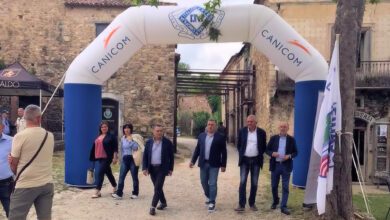 pino palmieri al beccaccia day