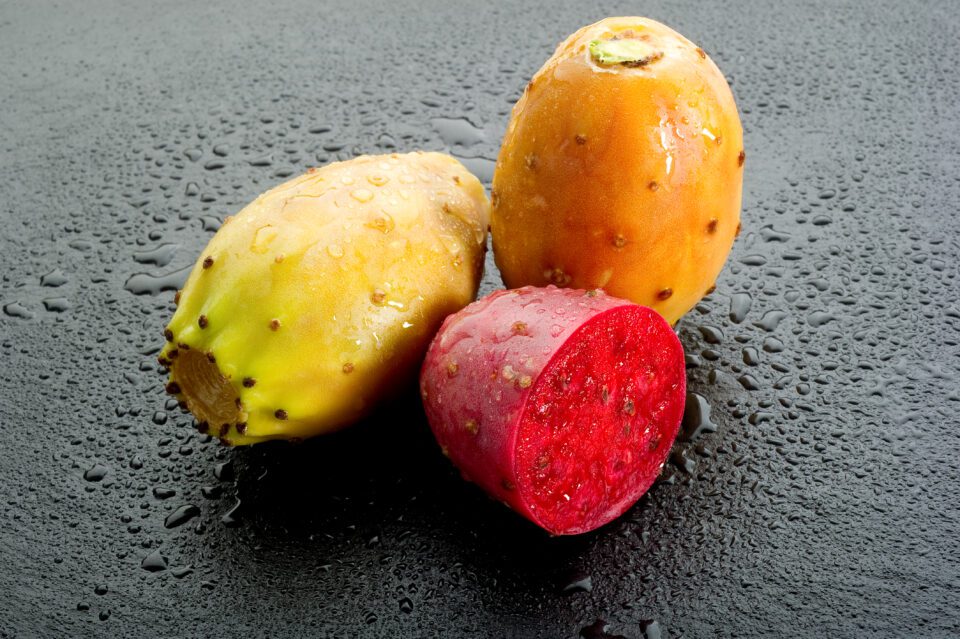 prickly pear 2022 06 28 08 22 29 utc scaled