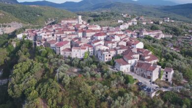 274650464 248592204128870 4647215071123585392 n