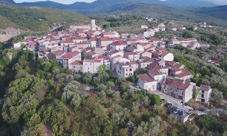 274650464 248592204128870 4647215071123585392 n