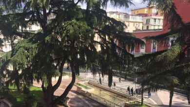 347632745 813492290394105 4960662614821418034 n