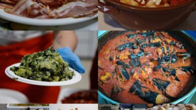 357097459 663855742452436 2127134676147950315 n