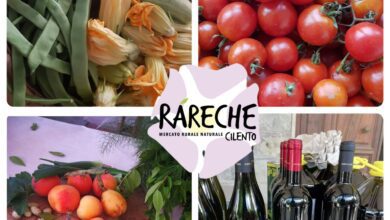 358577249 559208656423667 6135699086517575266 n