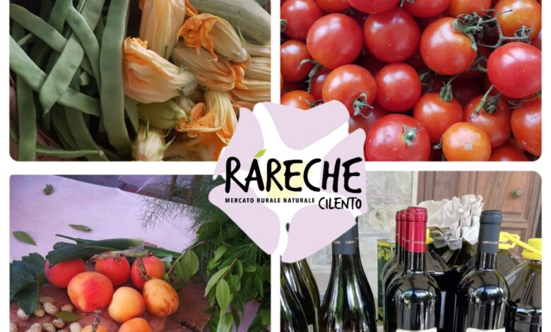 358577249 559208656423667 6135699086517575266 n