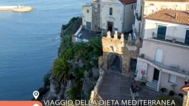 361559862 663005102523302 2479176669774905036 n