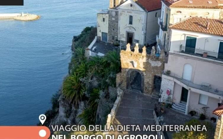 361559862 663005102523302 2479176669774905036 n