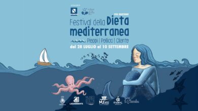 363313113 660457939449356 674173004117567622 n