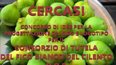 363429355 769113531881160 4499783712860471442 n