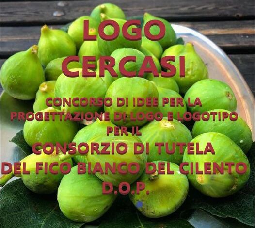 363429355 769113531881160 4499783712860471442 n