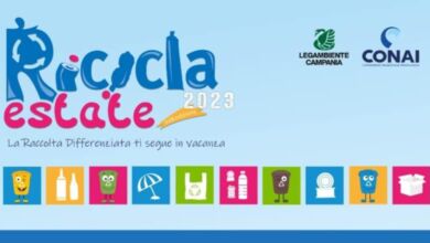 363431179 675901704579638 6590620167259506429 n