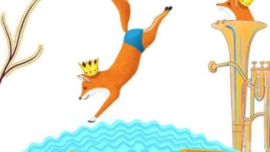 363795002 595185422810388 606541350807710364 n