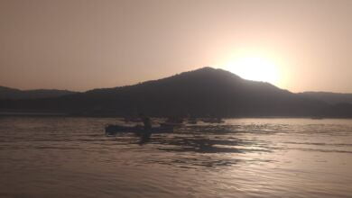 363843240 680689604102528 6657316077252229269 n