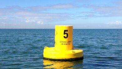 area interdetta masseta e infreschi