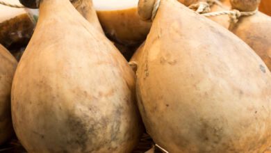 caciocavallo sassanese