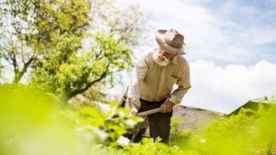 il contadino 3 Copia