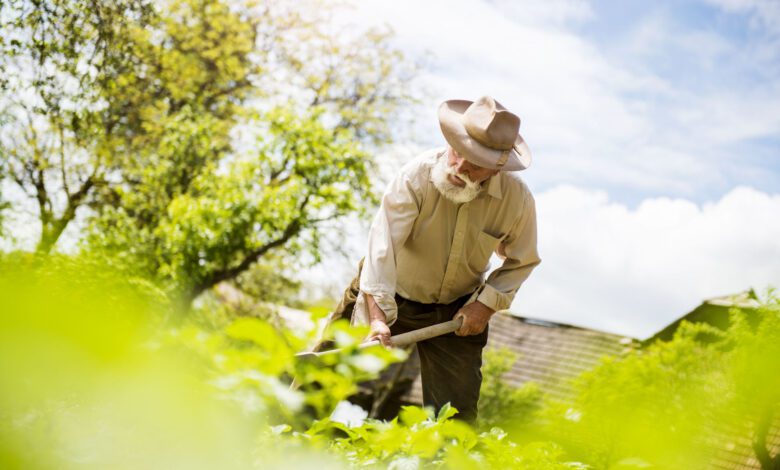 il contadino 3 Copia