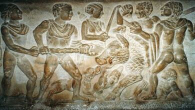 museo dei bretii e degli enotri