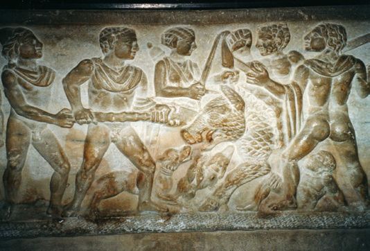museo dei bretii e degli enotri