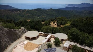 14115013 10208659761244436 4055005783827899482 o