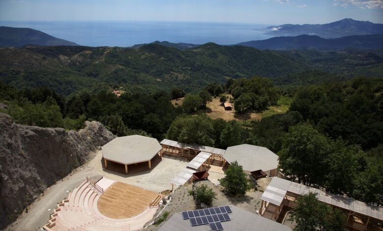 14115013 10208659761244436 4055005783827899482 o