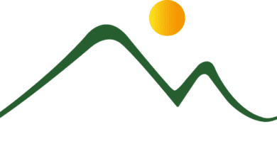 304555079 589002172949388 7570003144917035299 n