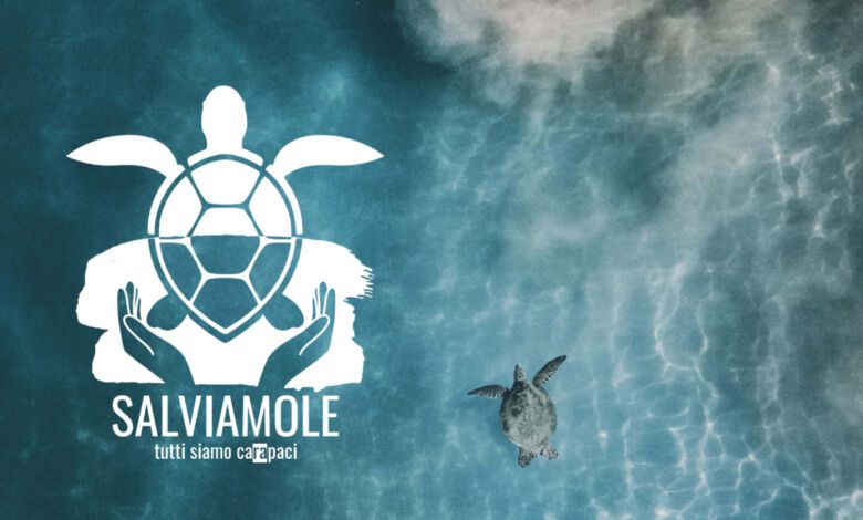 308114143 417107100559312 4989544798495709818 n