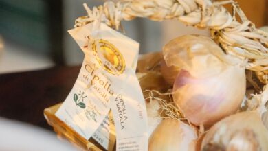 318625485 4523094571148740 7364024648278597416 n