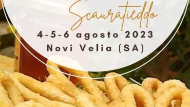 347583866 716597326938713 5999463661171952908 n