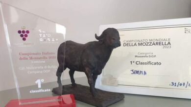 364759336 826655832411084 6689467156297397444 n