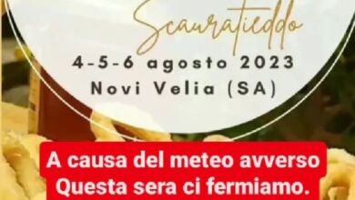 365019538 732339745364471 207007146244667427 n