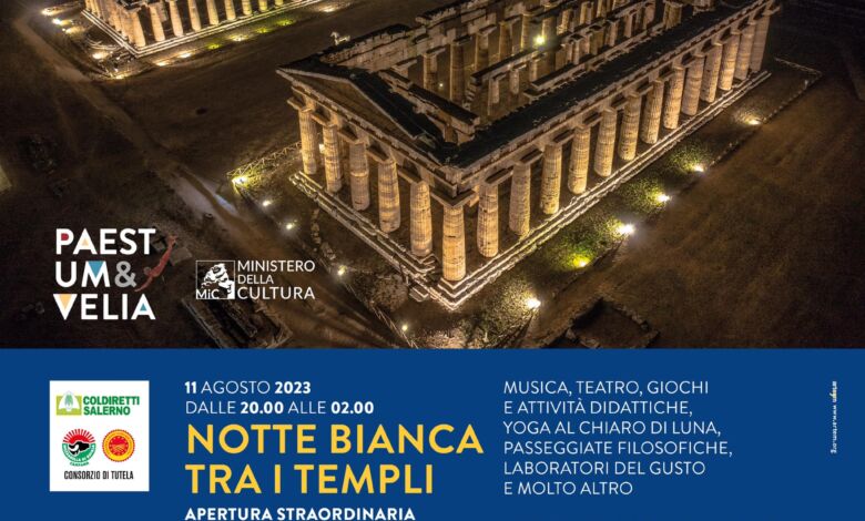 365255034 640390728182414 1436732516460619737 n