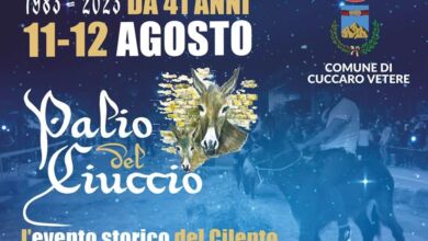 365423190 671472965006890 3185128451857531885 n