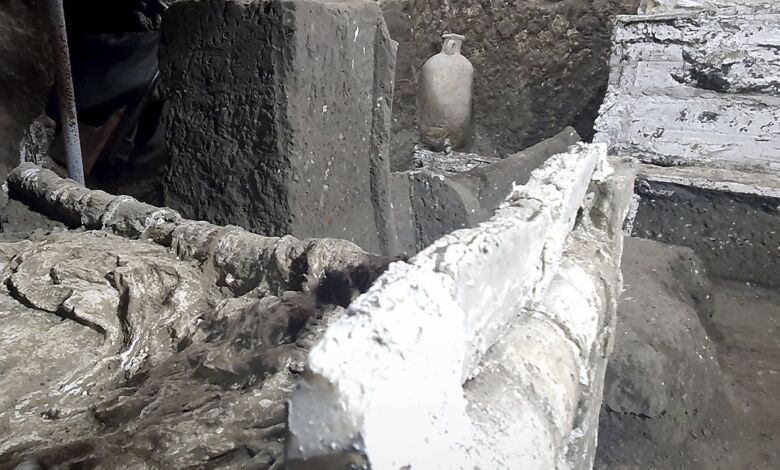 369468318 627876662828091 515353034876492229 n